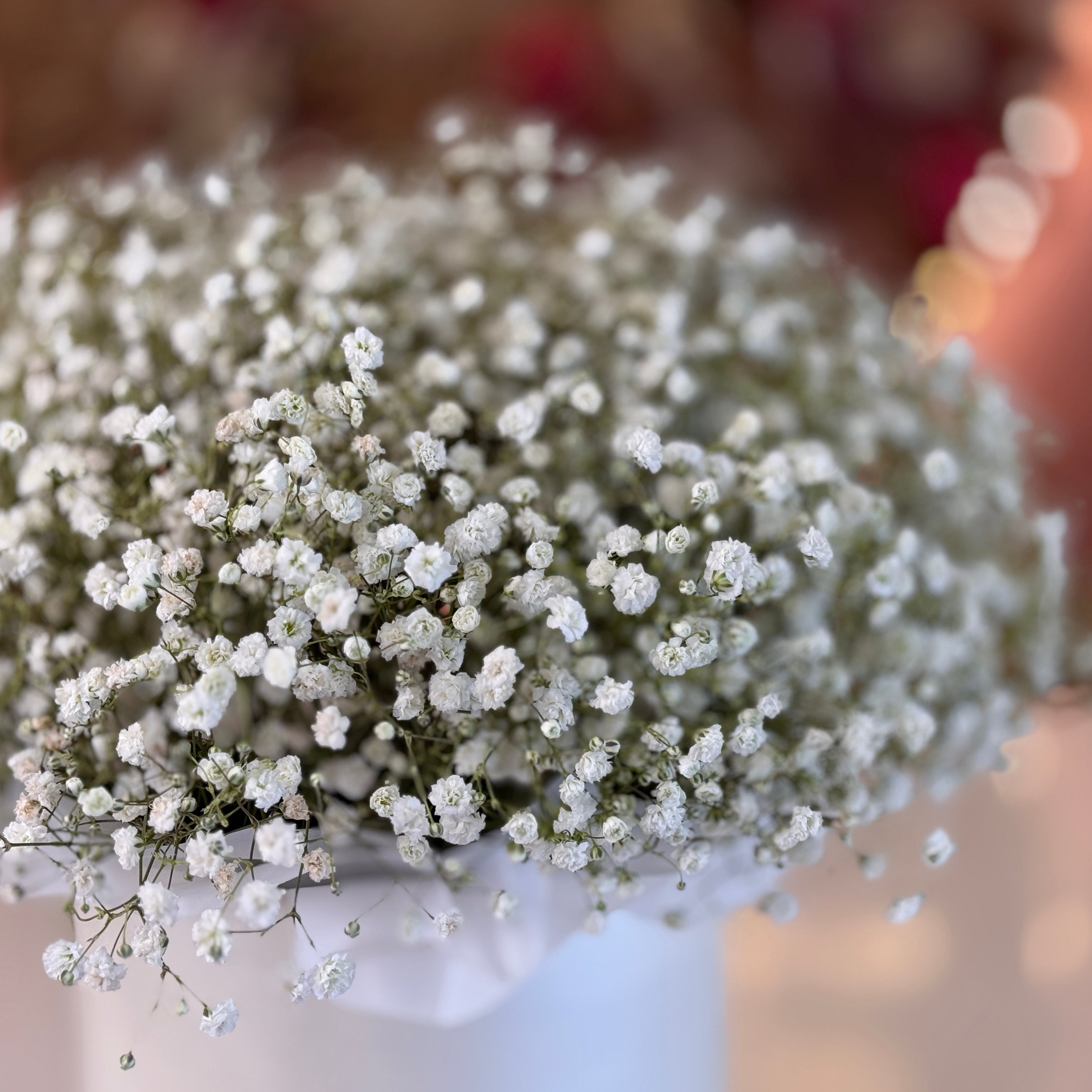 BAE Baby Breath Flower Box