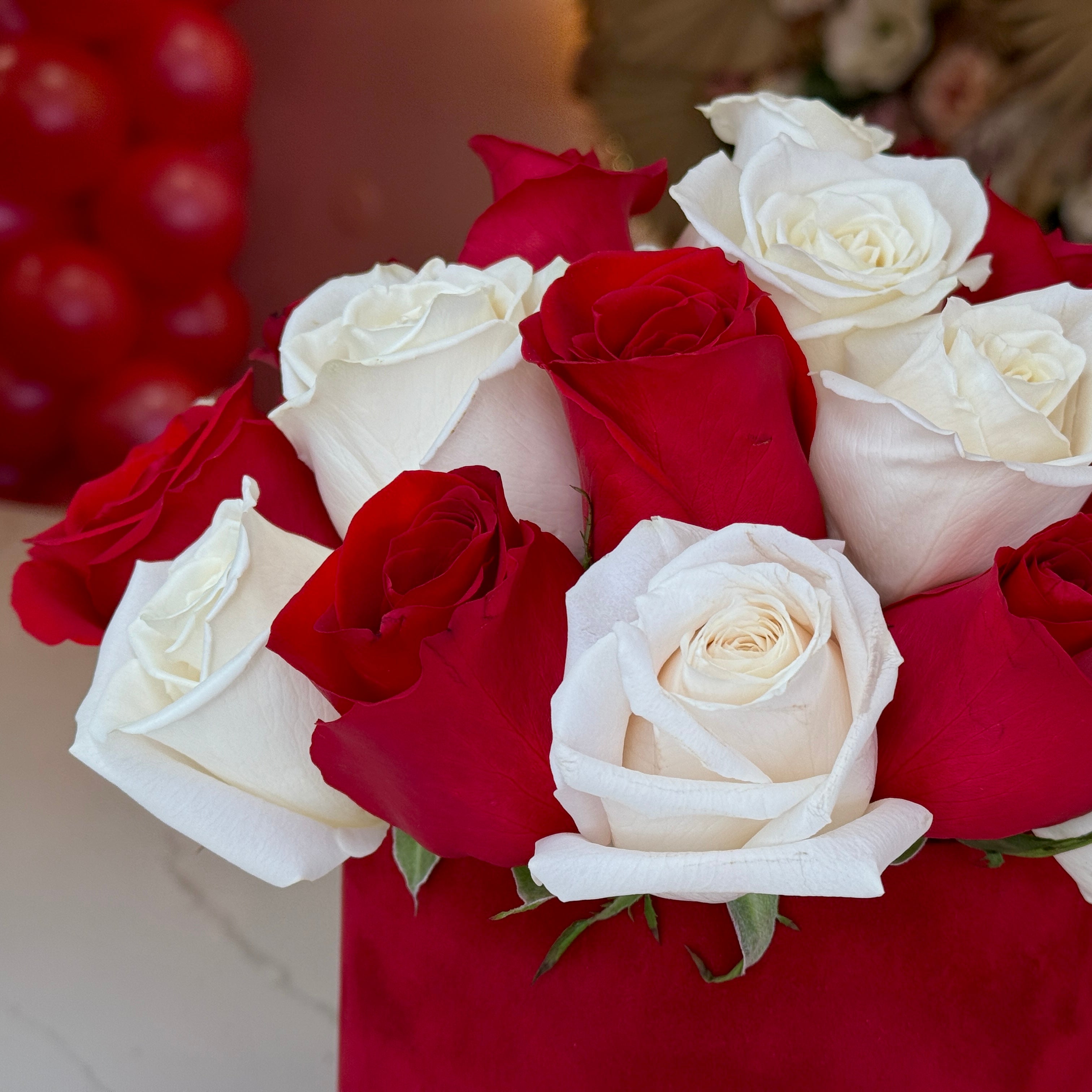 SCARLET Red & White Roses Flower Box