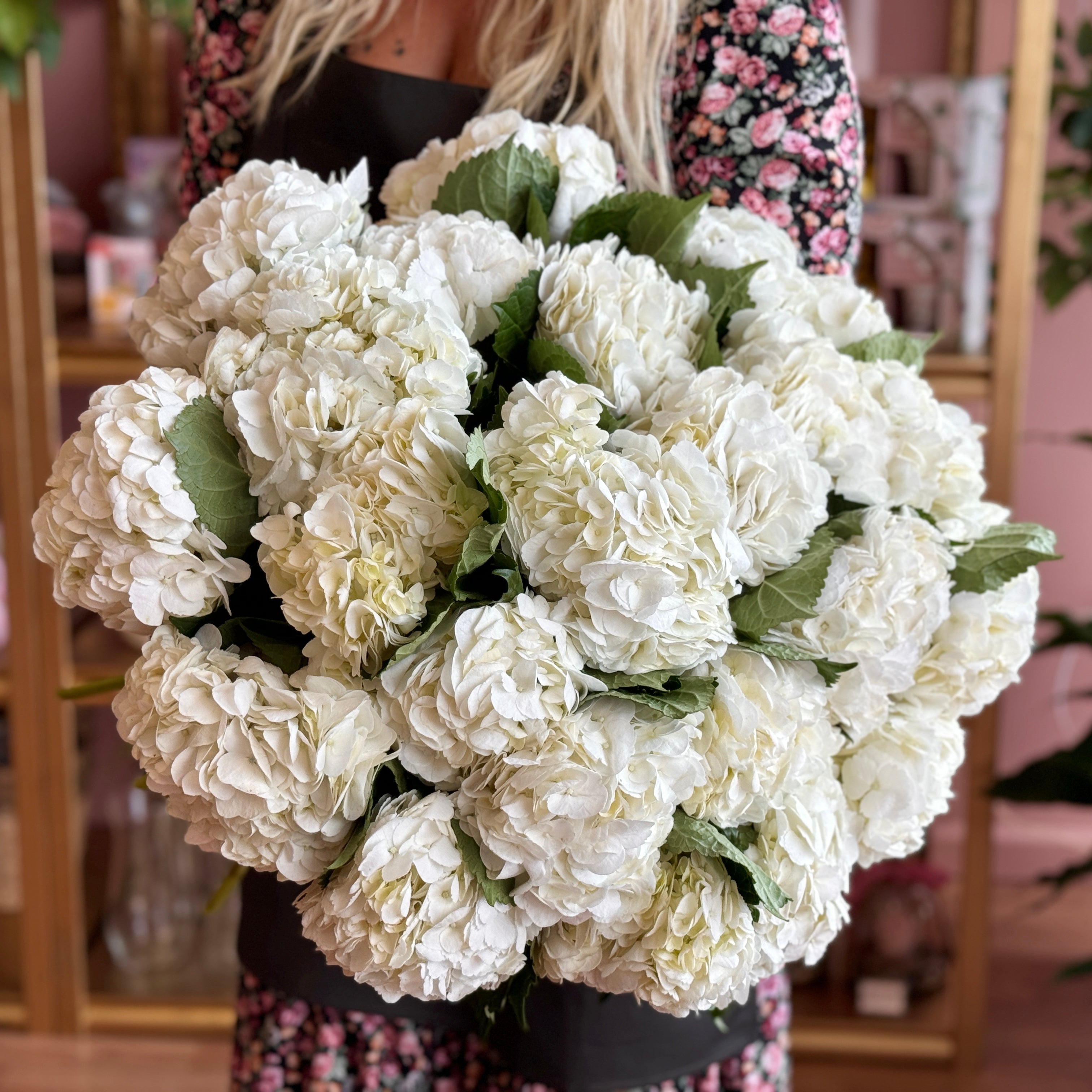 White Hydrangea MONO Bouquet
