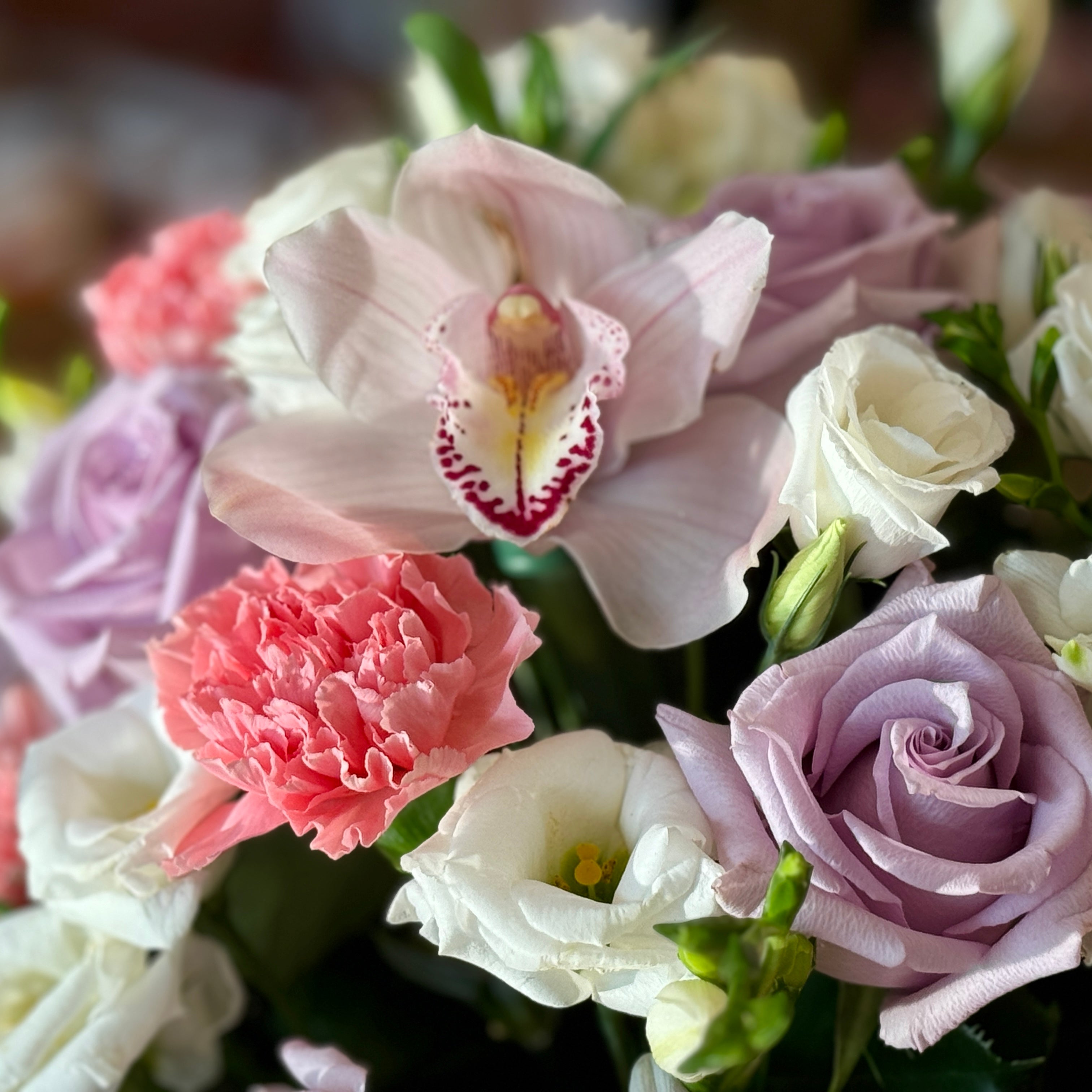 SELESTIA Lavender Roses, Carnations & Lisianthus Flower Box