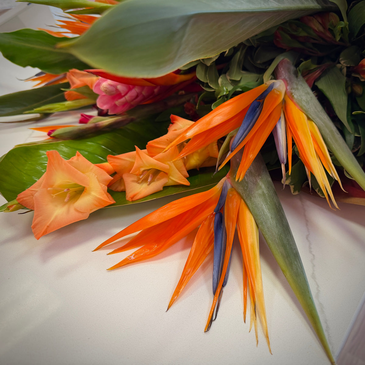 TROPICANA Bird of Paradise, Gladiolus & Ginger Flower Signature bouquet