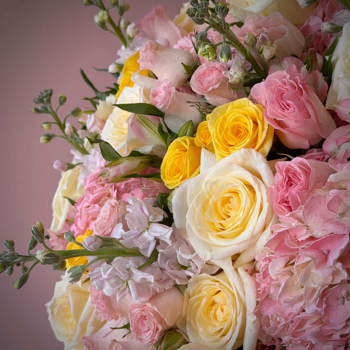 ANNA MARIA Pink Hydrangea, Yellow & Cream Roses Signature Bouquet