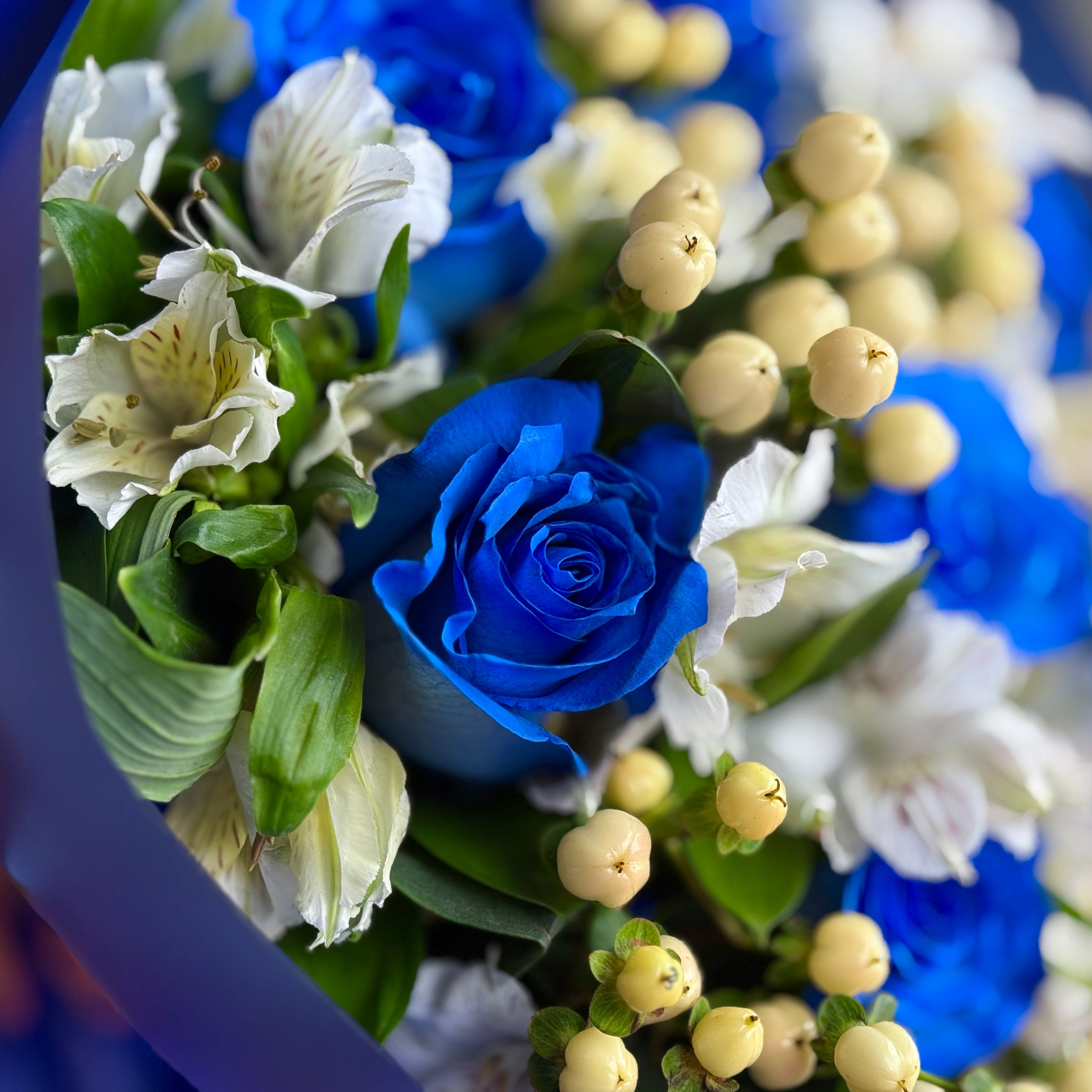 LUNA Blue Roses & White Alstroemeria Signature bouquet