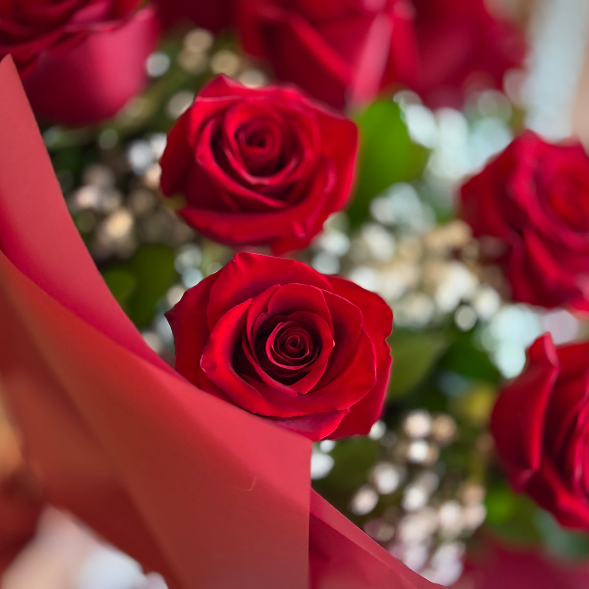 PARADISE Red Roses & Baby Breath Signature Bouquet