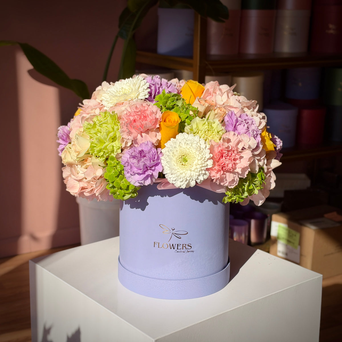 Juicy flower box in sunlight with white daisies, pink carnations and lavender blooms