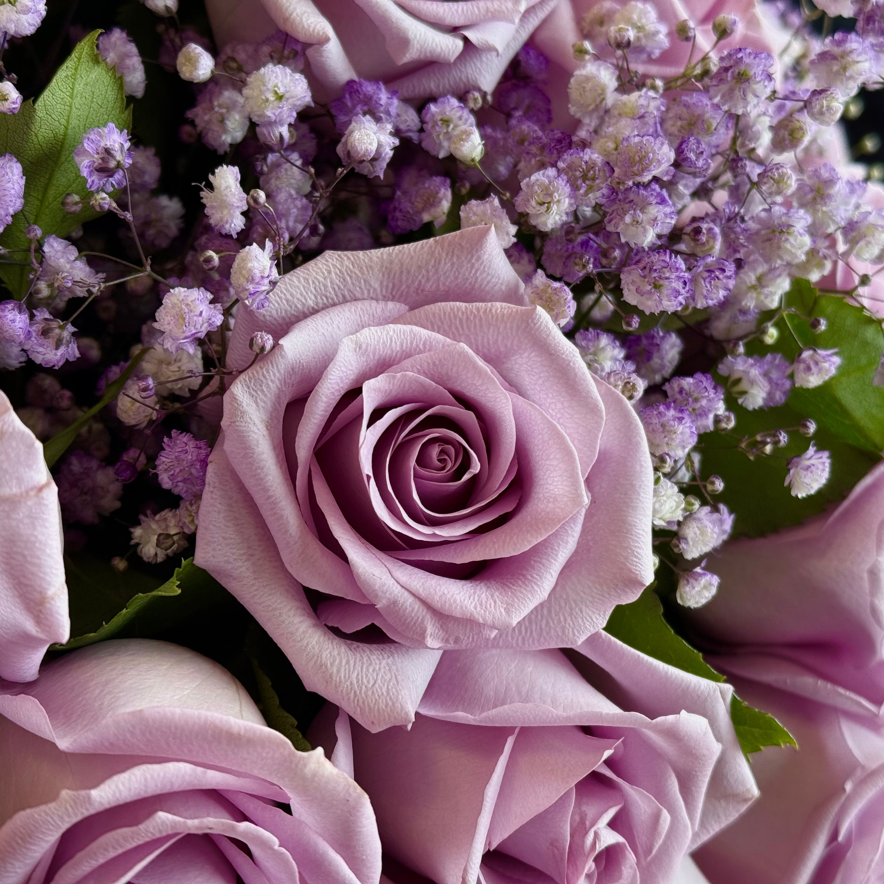 VICTORIA Lavender Roses & Tinted Baby Breath Signature Bouquet